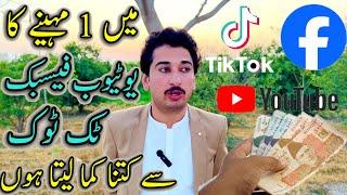 1 Month Main Youtube,Facebook Or Tik Tok Say Kitna kama Leta Hno ???