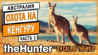 НОВЫЙ ЗАКАЗНИК С КЕНГУРУ В АВСТРАЛИИ! | Emerald Coast | theHunter Call of the Wild  | Часть #1