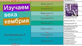 Лайфхак для быстрого изучения веков кембрийского периода.