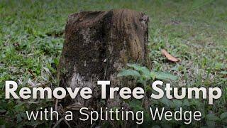 Remove tree stump with a splitting wedge