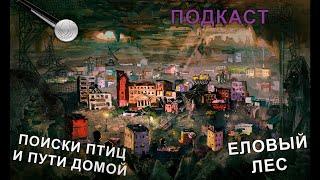 18 | Еловый лес | Вылезли из канализации в лесу. Ищем дорогу домой | Подкаст