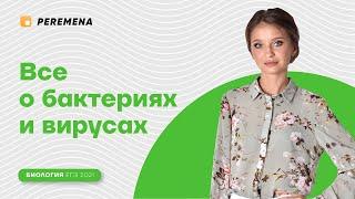 Все о бактериях и вирусах. | ЕГЭ БИОЛОГИЯ 2021 | PEREMENA