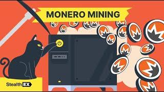 Easiest Way to Monero Mining (p2pool, gupax, xmrig) | XMR Mining | Monero Mining, WINDOWS Xmr Mining