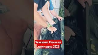 Чемпионат России по ловле карпа 2022. Carptoday team #ловлякарпа #carptoday #carpfishing