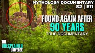 The Tasmanian Tiger Is NOT Extinct | Thylacine | Mythology Documentary | Boogeymen | S2E11