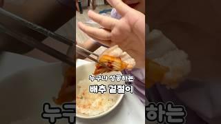 누구나 성공하는 배추겉절이 #집밥레시피 #레시피 #현지화