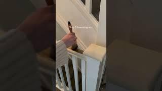 Warm up your walkway and create a faux wood grain with paint and wax!  #frenchic #staircaserailing
