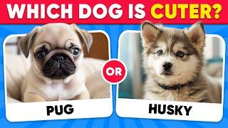 Would You Rather...? DOGS Edition  Which Dog is Cuter? | Quiz Kingdom