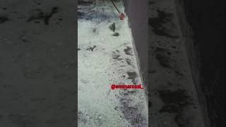 SATISFYING CONCRETE CLEANING ASMR#youtube#youtubeshorts#cleaning#concrete #satisfying #asmr #foam