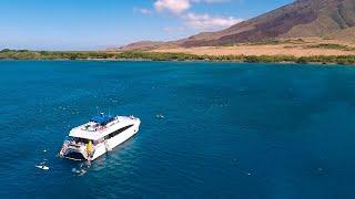 Pacific Whale Foundation - Snorkeling & Education in Hawaii