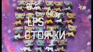 Все мои LPS стоячки || Liza Pet