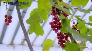 ZIMMERMANN PV-Agri Image Video