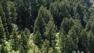 Mike Lee's public lands sale, Utah lawmakers briefed on protest shooting