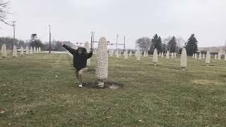 1 31 2020 Corn Henge Dublin OH