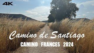  Camino de Santiago - Camino Frances #2 | 500 Miles (800KM) | 2024 July - August | 31 Days