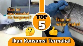 Top 5 Ikan Konsumsi Termahal di Dunia