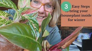 How to Bring Your Houseplants Inside to Overwinter