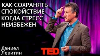 Дэниел Левитин: Как сохранять спокойствие, когда известно, что стресс неизбежен