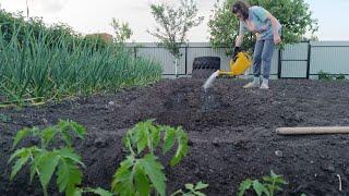 ПЧЕЛОВОД ВЫХОДНОГО ДНЯ/САЖАЮ РАССАДУ/СУЕТА В ДЕРЕВНЕ/БАННЫЙ ДЕНЬ