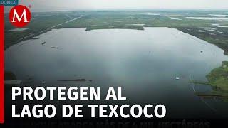 Recuperación del antiguo lago de Texcoco avanza con inundaciones exitosas