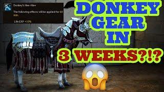 GET KROGDALO DONKEY GEAR FAST!!! | Black Desert Online | BDO Guide