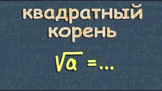 КВАДРАТНЫЙ КОРЕНЬ арифметический | алгебра 8 класс Макарычев 300 303