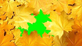 Green Screens Falling leaves  Autumn  Transitions Green Screen Effects in 4k Resolution.