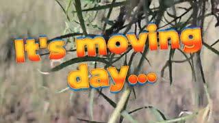 It's moving day, BUT... | Off-grid Living, RV Life, Couple builds