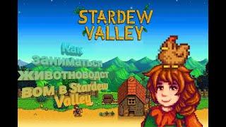 Как поднять золотых на животноводстве в Stardew valley