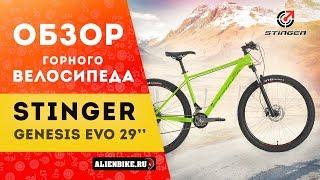 Горный велосипед Stinger Genesis Evo 29"