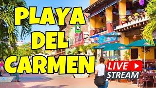 LIVE Playa del Carmen - Strolling Quinta Avenida