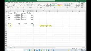 Working with Ranges and Merging Cells