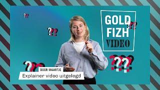 Een explainer video over explainers: zo maak je een uitleg video! | Goldfizh