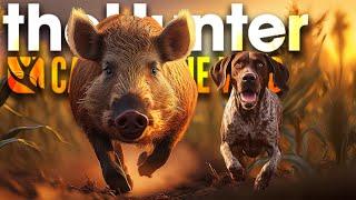 SO NAH und doch fast UNMÖGLICH! Tiere im Maisfeld! | theHunter Call of the Wild