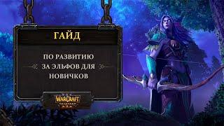 Гайд по развитию за ночных эльфов для новичков Warcraft 3: Reforged