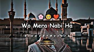 Wo Mera Nabi Hai  | Slowed + Reverb | Audio  | Syed Hassan Ullah Hussani | 2025 Ramzan Special.