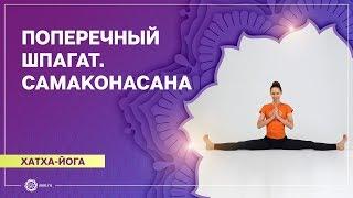 ПОПЕРЕЧНЫЙ ШПАГАТ для начинающих. САМАКОНАСАНА. Екатерина Андросова.