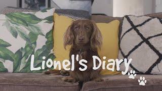 Lionel's Diary