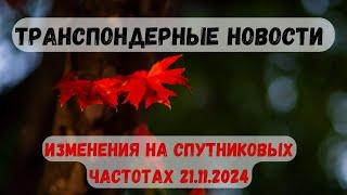 Транспондерные новости. Что нового на спутниковых частотах. 21.11.2024