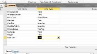 Input Masks Lookups and Validation Rules