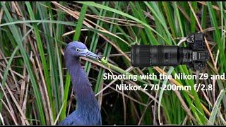 Shooting with the Nikon Z9 and Nikkor Z 70-200mm f/2.8