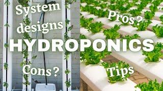 What Is Hydroponics And How Does It Work?