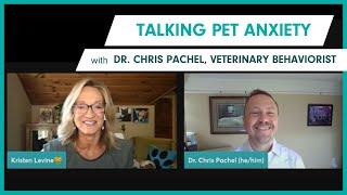 Talking Pet Anxiety with Dr. Chris Pachel, Veterinary Behaviorist