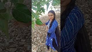 viral video||short video||reels video||Sanya Sangita Official #shorts
