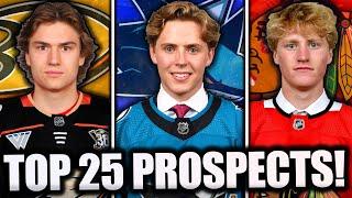 TOP 25 *BEST* NHL PROSPECTS... (2024 Edition)