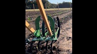 Cultivating with the Hoss Double Wheel Hoe