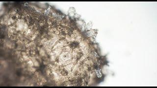 The Unknown Beyond the Stars – A Space Documentary 2025 – What Are We Not Meant to See?