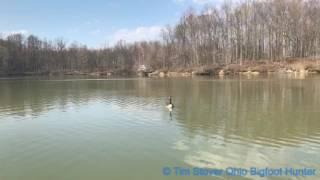 Ohio Bigfoot Hunter @ Skull Island Flooded