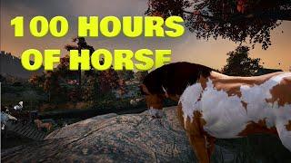 100 Hours Of Horse Catching For This Upgrade | Black Desert Ultimate Ironman