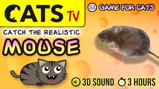 GAME FOR CATS  - The best MOUSE for CATS  3 HOURS  [CATS TV] 60FPS